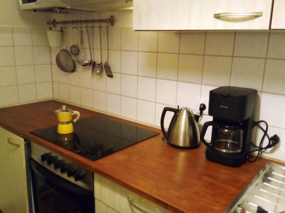 Appartement Schones Feng Shui Loft Uber Den Dachern Der Dresdner Neustadt Dresden
